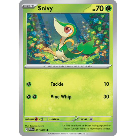 Snivy - Black Bolt