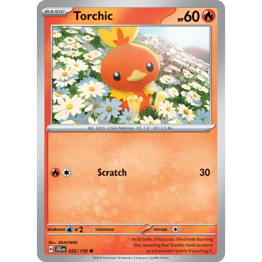Torchic - Journey Together