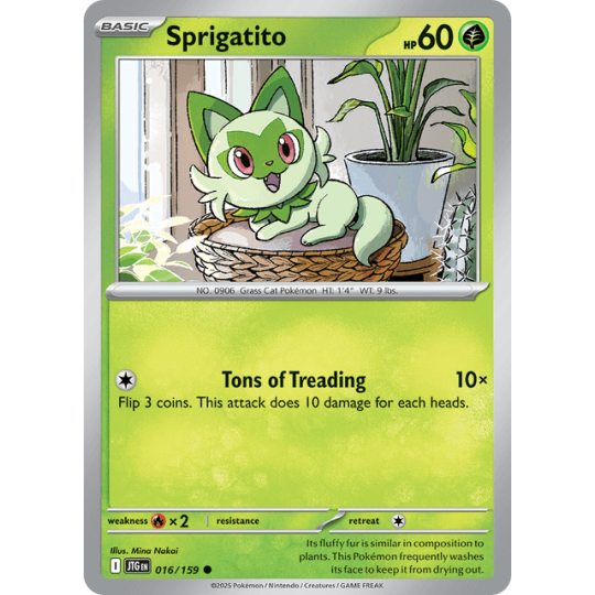 Spirigatito - Journey Together