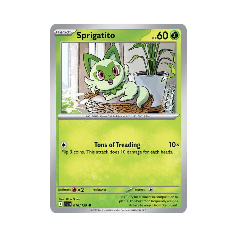 Spirigatito - Journey Together