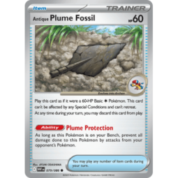 Antique Plume Fossil - White Flare