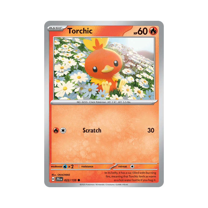 Torchic - Journey Together
