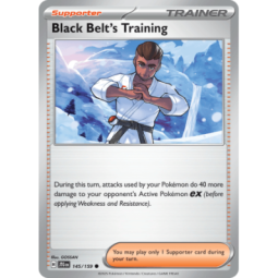 Black Belt's Training (Gen IX) - Journey Together