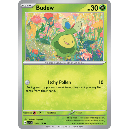 Budew - Ascended Heroes