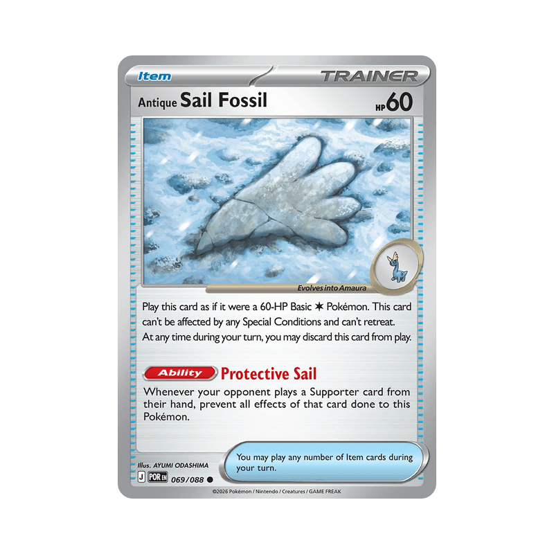 Antique Sail Fossil - Perfect Order