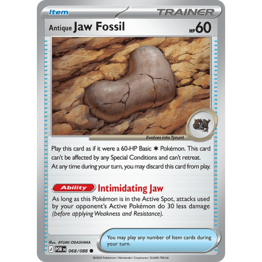 Antique Jaw Fossil - Perfect Order