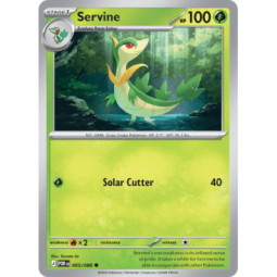 Servine - Perfect Order