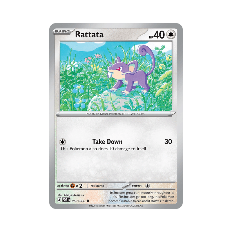 Rattata - Perfect Order