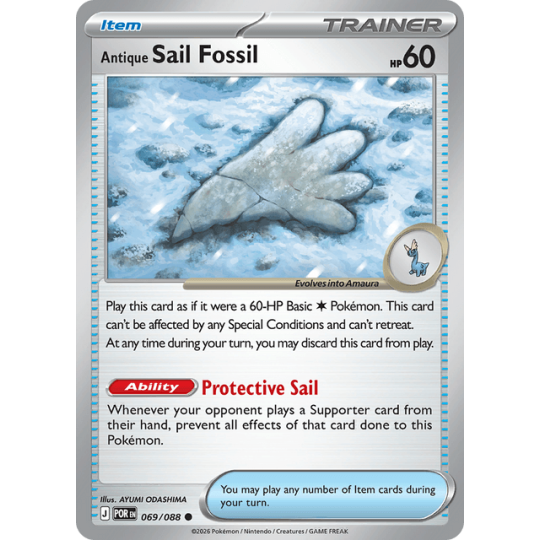 Antique Sail Fossil - Perfect Order